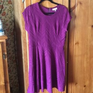 Candie’s purple dress